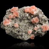 Fluorite with Quartz, Feldspar (variety adularia) and Apatite (Group)
25,0	x	18,5	x	11,0	cm
(Autor: MIM Museum)