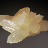 Calcite
5.9 x 8.0 cm
(Autor: Michael Shaw)