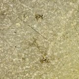 Pyrite
FOV = 2.0 mm
(Autor: Doug)