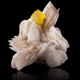 Sphalerite on Calcite
13,5	x	18,0	x	9,0	cm
(Autor: MIM Museum)