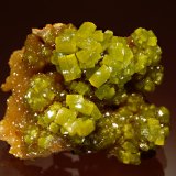 Pyromorphite
3.7 x 4.7 cm
(Autor: Michael Shaw)