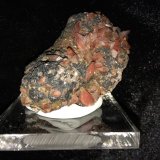 Rhodochrosite
55 X 40 X 20 mm
(Autor: Robert Seitz)