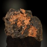 Copper
81 x 55 mm
(Autor: Manuel Mesa)