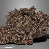 Copper
85 x 48 mm
(Autor: Manuel Mesa)