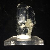 Ferberite, Calcite
55 mm x 35 mm x 17 mm
(Autor: Robert Seitz)
