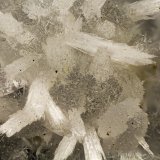 'Thomsonite'
FOV = 4.0 mm
(Autor: Doug)