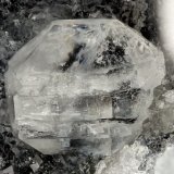 Gmelinite
FOV = 2.6 mm
(Autor: Doug)