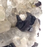 Cassiterite, Quartz
20 X 20 mm
(Autor: Robert Seitz)
