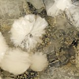 Gyrolite, Phillipsite
FOV = 4.0 mm
(Autor: Doug)