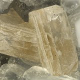 Fluorapophyllite-(K)
FOV = 1.8 mm
(Autor: Doug)