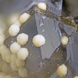 Epididymite, Quartz
FOV = 2mm
(Autor: Doug)