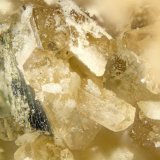 Hilairite
FOV = 2mm
(Autor: Doug)