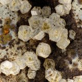 Paulingite-Ca
FOV = 3.4 mm
(Autor: Doug)