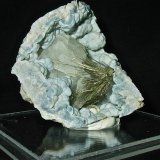 Millerite and Calcite on Quartz (variety chalcedony)
Geode is 7 cm. The millerite spray is 4cm
(Autor: Bob Harman)