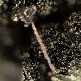 Copper
FOV = 2.7 mm
(Autor: Doug)