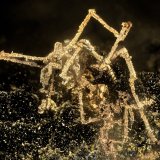 Copper
FOV = 4.2 mm
(Autor: Doug)