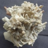 Aragonite (variety eisenblüte)
14x11x10cm
(Autor: Dave van Bladel)