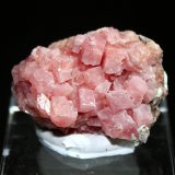 Rhodochrosite
4.0 x 3.5 cm
(Autor: Don Lum)