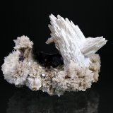 Calcite, Strontianite
7 x 4 cm
(Autor: Don Lum)