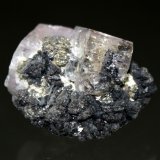 Wurtzite, Fluorapatite
4.0 x 3.5 cm
(Autor: Don Lum)