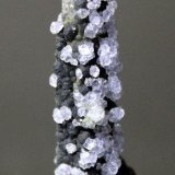 Fluorite, Quartz
5.6 x 2.1 cm
(Autor: Don Lum)