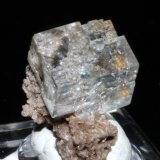 Fluorite
1.7 x 1.4 cm
(Autor: Don Lum)