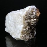 Grossular, Diopside
4.2 x 3.6 cm
(Autor: Don Lum)