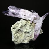 Quartz (variety amethyst)
7.0 x 6.7 cm
(Autor: Don Lum)