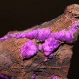 Sugilite
7.8 x 5.2 cm
(Autor: Don Lum)