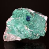 Boleite, Clinoatacamite, Gypsum
5.0 x 4.0 cm
(Autor: Don Lum)