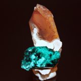 Dioptase, Quartz
51mm x 30mm
(Autor: Don Lum)