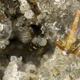 Pyrite, Clinoptilolite-Na
FOV = 2.6 mm
(Autor: Doug)
