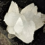Calcite
FOV = 7.0 mm
(Autor: Doug)