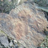 breccia ?
cm
(Autor: Reyhane)