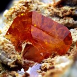 Wulfenite
FOV 14mm
(Autor: Carlos Pareja)