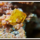 Wulfenite
4.5 mm
(Autor: h.abbasi)