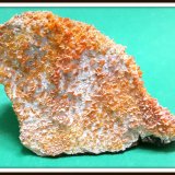 Wulfenite
7 cm x 11 cm
(Autor: h.abbasi)