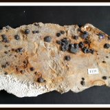 Galena and Fluorite
10 * 21 cm
(Autor: h.abbasi)