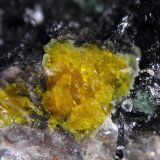 Becquerelite
FOV 0.5 cm
(Autor: Cesar M. Salvan)