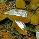 Wulfenite
FOV 4mm
(Autor: Carlos Pareja)