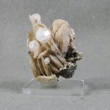 Analcime 
3.5 * 4.5 cm
(Autor: h.abbasi)