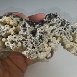 Wavellite
13.6 cms x 6.5 cms
(Autor: kushmeja)