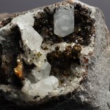 Calcite, Sphalerite, Chalcopyrite and Fluorite
Field of view ~ 35 mm
(Autor: Andy Lawton)