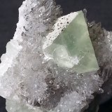Fluorite with Quartz and Pyrite
4 x 4 cm
(Autor: Volkmar Stingl)
