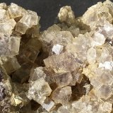 Fluorite
11 x 7 cm
(Autor: Volkmar Stingl)