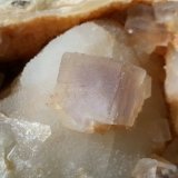 Fluorite on Quartz (variety chalcedony)
12 x 8 cm
(Autor: Volkmar Stingl)