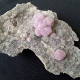 Fluorite on Calcite and minor Quartz
7 x 5 cm
(Autor: Volkmar Stingl)