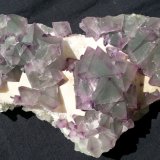 Fluorite
17 x 9 cm
(Autor: Volkmar Stingl)
