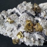 Chalcopyrite, Quartz, Pyrite, Dolomite, Galena
13 x 8 cm
(Autor: Volkmar Stingl)