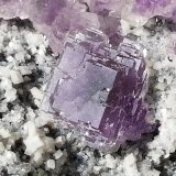Fluorite, Dolomite
12 x 8 cm
(Autor: Volkmar Stingl)